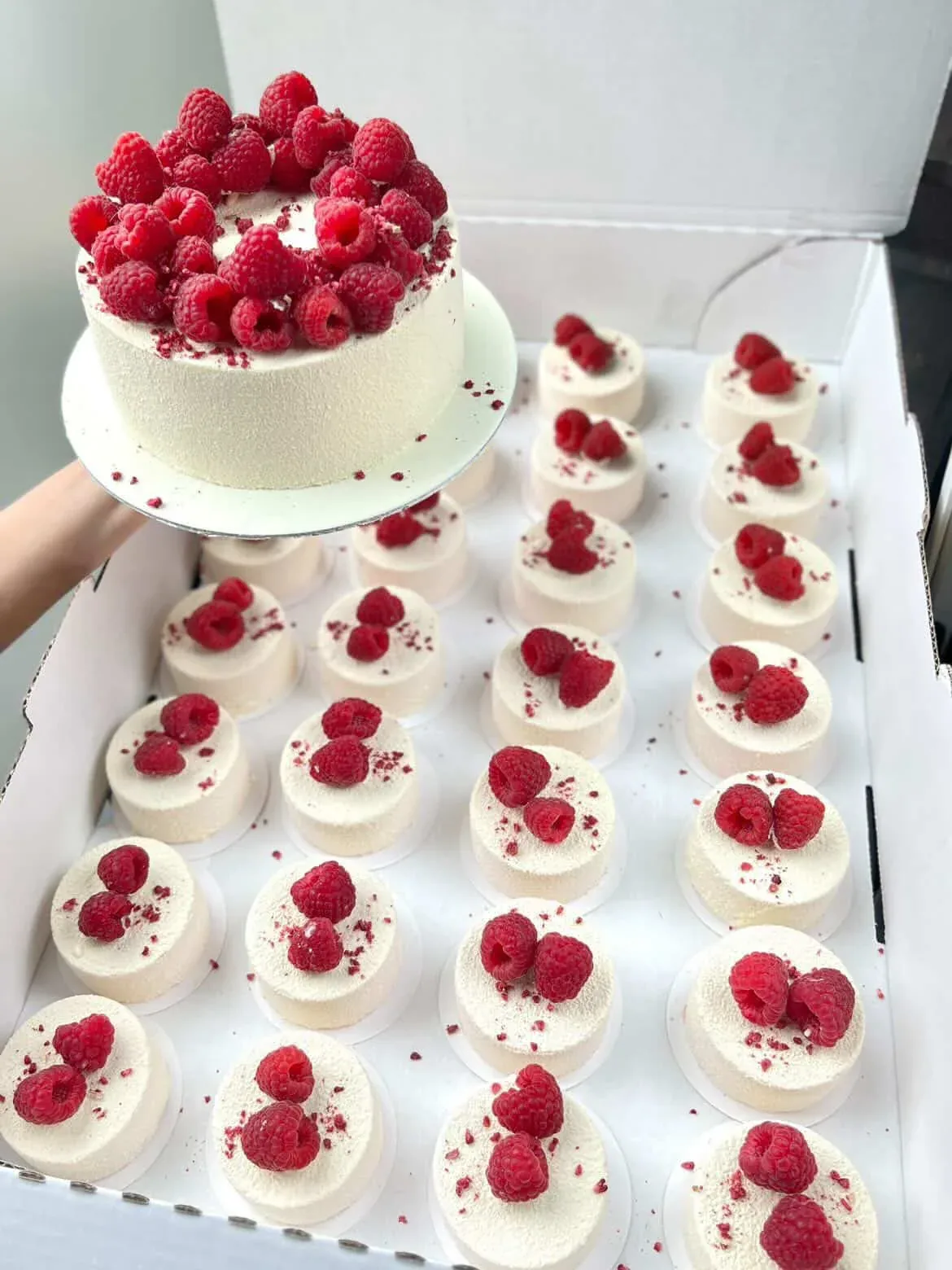 Vaarikatega komplekt