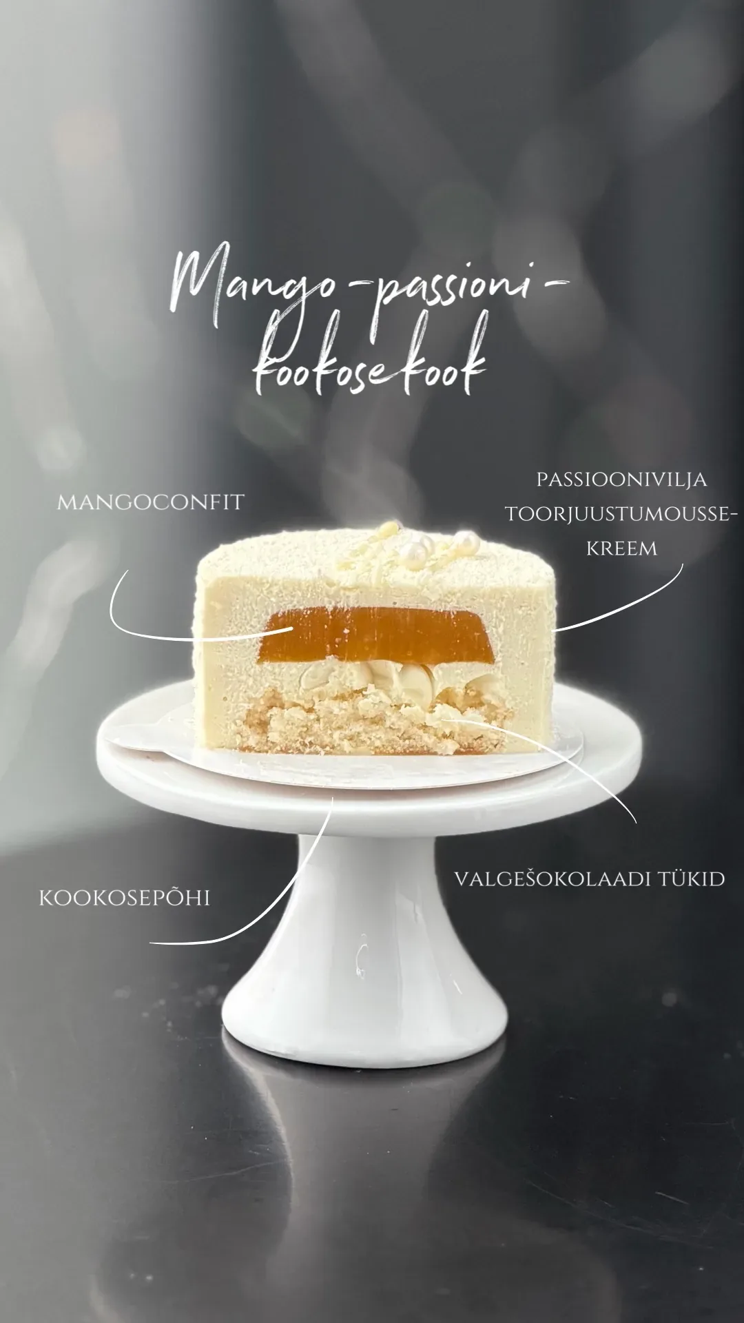 Portsjonikook